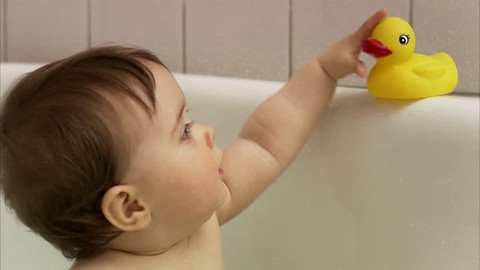 Những con vịt tắm đồ chơi, coi chừng thành ổ vi khuẩn  - Ảnh 2.