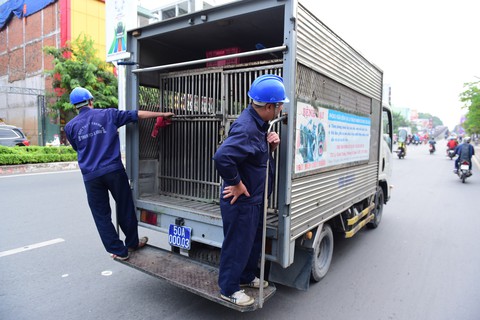 Xe bắt chó, “đặc sản đô thị” Sài Gòn - Ảnh 1. Xe bắt chó, “đặc sản đô thị” Sài Gòn - Ảnh 1.