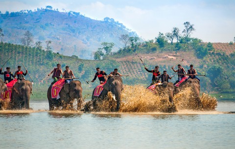 Bộ ảnh voi Đăk Lăk đoạt giải nhất tháng 2 - 2018 - Ảnh 5. Bộ ảnh voi Đăk Lăk đoạt giải nhất tháng 2 - 2018 - Ảnh 5.
