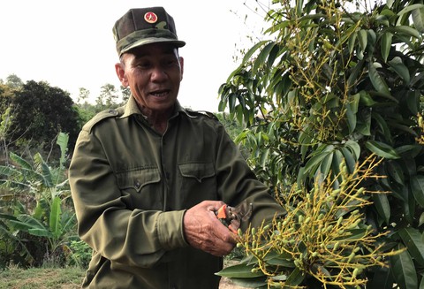 Kỷ vật kỳ lạ… của người lính già - Ảnh 8. Kỷ vật kỳ lạ… của người lính già - Ảnh 8.