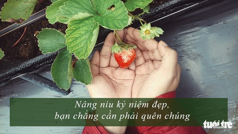 Đi qua chuyện tình đúng người, sai thời điểm - Ảnh 4. Đi qua chuyện tình đúng người, sai thời điểm - Ảnh 4.