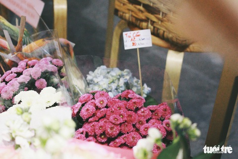 Rủ nhau đi ngắm hoa Nhật Bản ngay tại Sài Gòn - Ảnh 2. Rủ nhau đi ngắm hoa Nhật Bản ngay tại Sài Gòn - Ảnh 2.