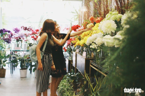 Rủ nhau đi ngắm hoa Nhật Bản ngay tại Sài Gòn - Ảnh 5. Rủ nhau đi ngắm hoa Nhật Bản ngay tại Sài Gòn - Ảnh 5.