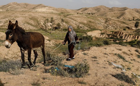 Những gia đình cuối cùng sống dưới lòng đất ở Tunisia - Ảnh 16. Những gia đình cuối cùng sống dưới lòng đất ở Tunisia - Ảnh 16.