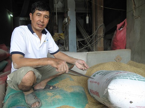 Chủ nhà máy xay muốn giao vàng trong bao lúa cho chính quyền - Ảnh 1. Chủ nhà máy xay muốn giao vàng trong bao lúa cho chính quyền - Ảnh 1.