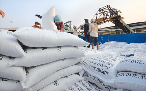 Giải pháp nâng cao giá trị gạo xuất khẩu Việt Nam - Ảnh 1.