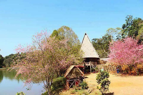 Lời mời gọi của Măng Đen - Ảnh 1. Lời mời gọi của Măng Đen - Ảnh 1.