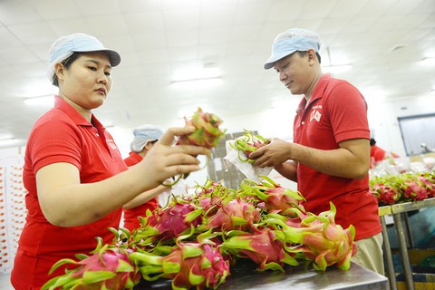 Trở thành thành viên CPTPP: Cơ hội vàng cho Việt Nam - Ảnh 1. Trở thành thành viên CPTPP: Cơ hội vàng cho Việt Nam - Ảnh 1.
