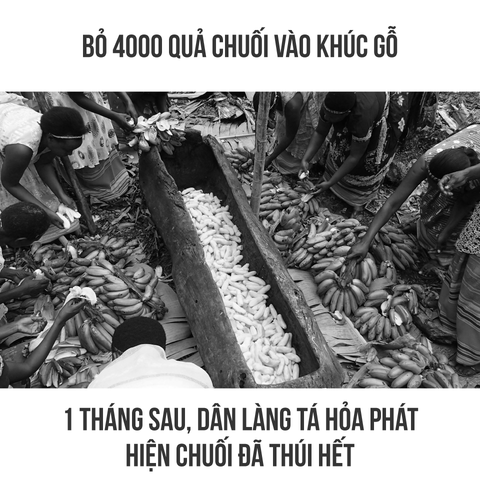 Cùng cười với bộ ảnh 10 phát hiện ...té ngửa - Ảnh 1. Cùng cười với bộ ảnh 10 phát hiện ...té ngửa - Ảnh 1.