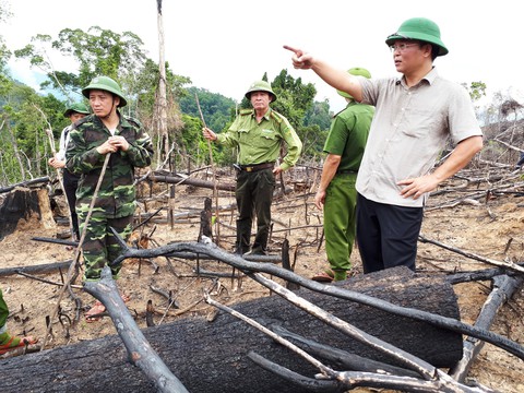 Xót rừng bị phá, nửa đêm phó chủ tịch tỉnh viết tâm thư gửi kiểm lâm - Ảnh 1. Xót rừng bị phá, nửa đêm phó chủ tịch tỉnh viết tâm thư gửi kiểm lâm - Ảnh 1.