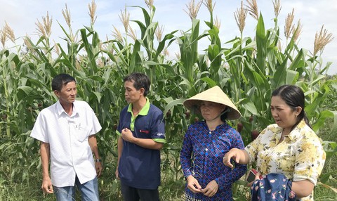 Ngân hàng của những chị em nghèo - Ảnh 1. Ngân hàng của những chị em nghèo - Ảnh 1.