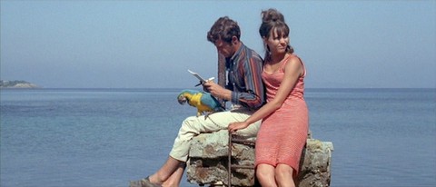 Cannes lại tôn vinh huyền thoại màn bạc Pháp Jean Luc-Godard - Ảnh 5. Cannes lại tôn vinh huyền thoại màn bạc Pháp Jean Luc-Godard - Ảnh 5.