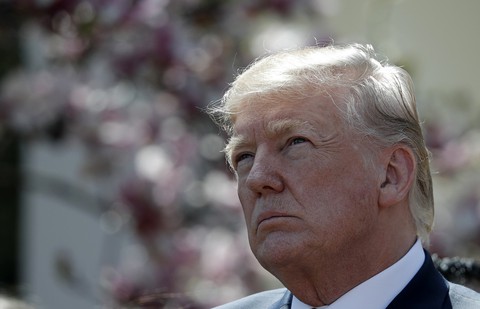 Ông Trump chưa có quyết định cuối cùng về Syria - Ảnh 1. Ông Trump chưa có quyết định cuối cùng về Syria - Ảnh 1.