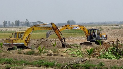 Long An sẽ phạt người tự ý đào ruộng lúa làm ao nuôi cá - Ảnh 1. Long An sẽ phạt người tự ý đào ruộng lúa làm ao nuôi cá - Ảnh 1.