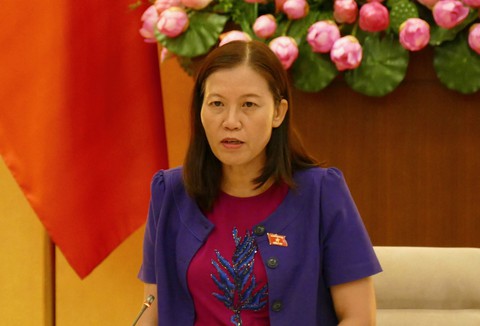 Tại sao hồ sơ dự án luật cứ trình bản nháp? - Ảnh 1. Tại sao hồ sơ dự án luật cứ trình bản nháp? - Ảnh 1.