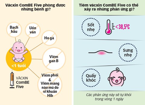 Văcxin ComBE Five: an toàn hơn? - Ảnh 2. Văcxin ComBE Five: an toàn hơn? - Ảnh 2.