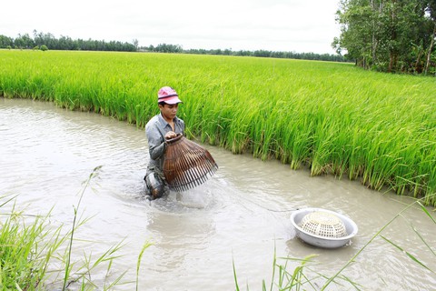 Nông nghiệp 4.0 giúp giảm tác động biến đổi khí hậu - Ảnh 1. Nông nghiệp 4.0 giúp giảm tác động biến đổi khí hậu - Ảnh 1.