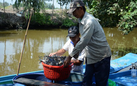 Thương hiệu “tôm càng xanh Vĩnh Thuận” - Ảnh 1. Thương hiệu “tôm càng xanh Vĩnh Thuận” - Ảnh 1.