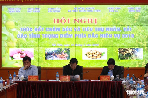 Lên phương án sớm cứu vải thiều - Ảnh 2. Lên phương án sớm cứu vải thiều - Ảnh 2.
