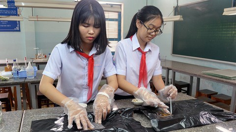 Học sinh lớp 9 làm dự án cho sâu ăn rác thải - Ảnh 1. Học sinh lớp 9 làm dự án cho sâu ăn rác thải - Ảnh 1.