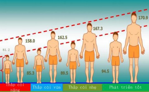 Chiều cao lúc nhỏ ảnh hưởng tầm vóc khi trưởng thành - Ảnh 4. Chiều cao lúc nhỏ ảnh hưởng tầm vóc khi trưởng thành - Ảnh 4.