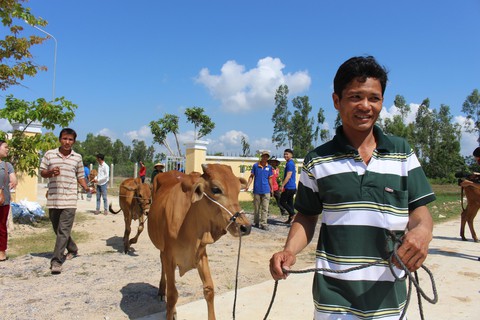 Báo Tuổi Trẻ trao tặng 30 con bò giống cho bà con vùng bão lũ - Ảnh 3. Báo Tuổi Trẻ trao tặng 30 con bò giống cho bà con vùng bão lũ - Ảnh 3.