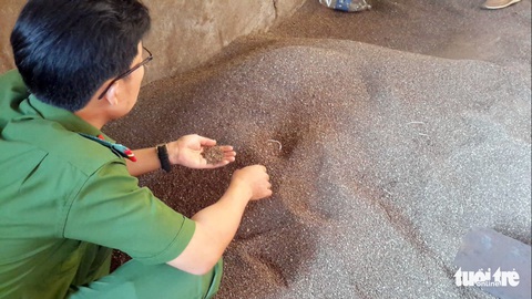 Chưa áp dụng biện pháp hình sự đối với chủ cơ sở cà phê pin - Ảnh 1. Chưa áp dụng biện pháp hình sự đối với chủ cơ sở cà phê pin - Ảnh 1.