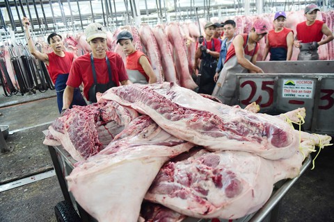 Nguy cơ tăng giá thịt heo, gà - Ảnh 1. Nguy cơ tăng giá thịt heo, gà - Ảnh 1.