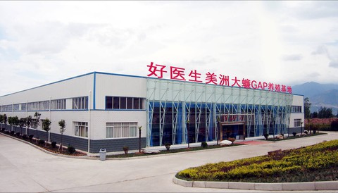 Nuôi 6 tỉ con gián làm thuốc ở Trung Quốc - Ảnh 2. Nuôi 6 tỉ con gián làm thuốc ở Trung Quốc - Ảnh 2.