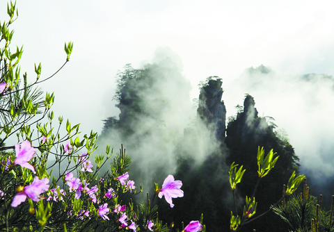 Vũ Lăng Nguyên - Tiên cảnh nơi trần thế - Ảnh 4. Vũ Lăng Nguyên - Tiên cảnh nơi trần thế - Ảnh 4.