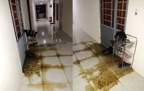 Điều tra vụ nhà phóng viên bị ném phân bò - Ảnh 1. Điều tra vụ nhà phóng viên bị ném phân bò - Ảnh 1.
