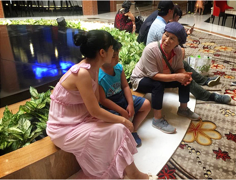 Du khách Trung Quốc nườm nượp đến Việt Nam - Ảnh 1. Du khách Trung Quốc nườm nượp đến Việt Nam - Ảnh 1.