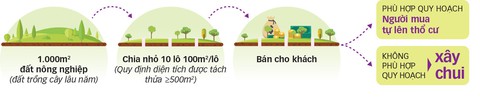 Lao vào phân lô bán nền đẩy giá đất Phú Quốc cao ngất ngưởng - Ảnh 2. Lao vào phân lô bán nền đẩy giá đất Phú Quốc cao ngất ngưởng - Ảnh 2.