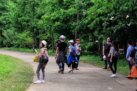 Tháng 4, đến rừng Cúc Phương săn bướm - Ảnh 10. Tháng 4, đến rừng Cúc Phương săn bướm - Ảnh 10.