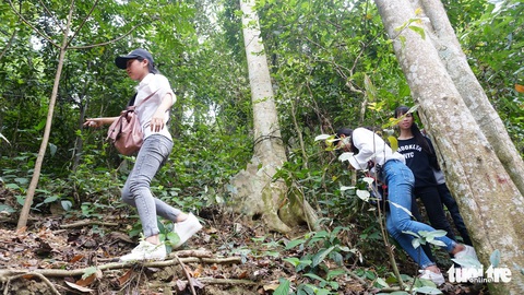 Biển người đổ về Đền Hùng, an ninh vất vả giữ an toàn - Ảnh 6. Biển người đổ về Đền Hùng, an ninh vất vả giữ an toàn - Ảnh 6.