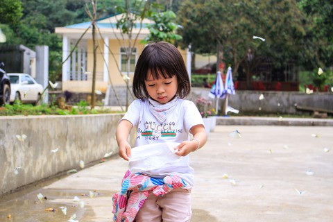 Tháng 4, đến rừng Cúc Phương săn bướm - Ảnh 7. Tháng 4, đến rừng Cúc Phương săn bướm - Ảnh 7.