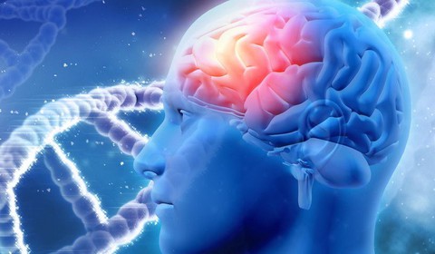 Tổn thương não nhẹ cũng tăng nguy cơ bệnh Parkinson - Ảnh 1. Tổn thương não nhẹ cũng tăng nguy cơ bệnh Parkinson - Ảnh 1.