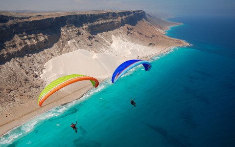 Đến Yemen khám phá vùng đất cây máu rồng Socotra - Ảnh 1. Đến Yemen khám phá vùng đất cây máu rồng Socotra - Ảnh 1.