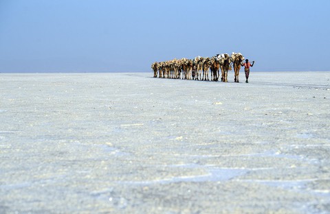 Đến Ethiopia khám phá ‘vùng chảo’ sa mạc Danakil - Ảnh 15. Đến Ethiopia khám phá ‘vùng chảo’ sa mạc Danakil - Ảnh 15.