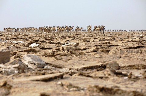 Đến Ethiopia khám phá ‘vùng chảo’ sa mạc Danakil - Ảnh 16. Đến Ethiopia khám phá ‘vùng chảo’ sa mạc Danakil - Ảnh 16.