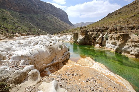 Đến Yemen khám phá vùng đất cây máu rồng Socotra - Ảnh 18. Đến Yemen khám phá vùng đất cây máu rồng Socotra - Ảnh 18.