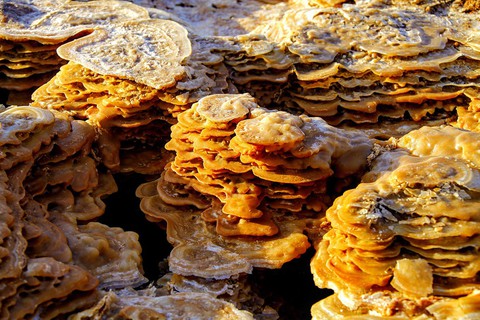 Đến Ethiopia khám phá ‘vùng chảo’ sa mạc Danakil - Ảnh 21. Đến Ethiopia khám phá ‘vùng chảo’ sa mạc Danakil - Ảnh 21.