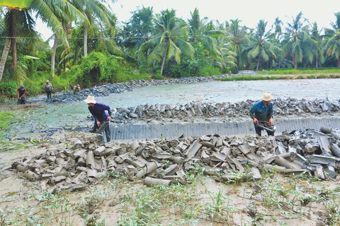 Chuyển đổi để thích nghi - Ảnh 1. Chuyển đổi để thích nghi - Ảnh 1.