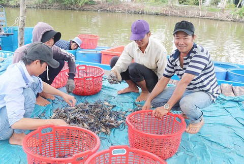 Chuyển đổi để thích nghi - Ảnh 2. Chuyển đổi để thích nghi - Ảnh 2.