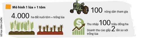 Từ “sống chung với lũ” đến “sống chung với mặn” - Ảnh 2. Từ “sống chung với lũ” đến “sống chung với mặn” - Ảnh 2.