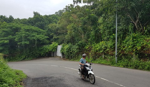 Sẽ chuyển sai phạm ở Sơn Trà cho cơ quan điều tra - Ảnh 3. Sẽ chuyển sai phạm ở Sơn Trà cho cơ quan điều tra - Ảnh 3.
