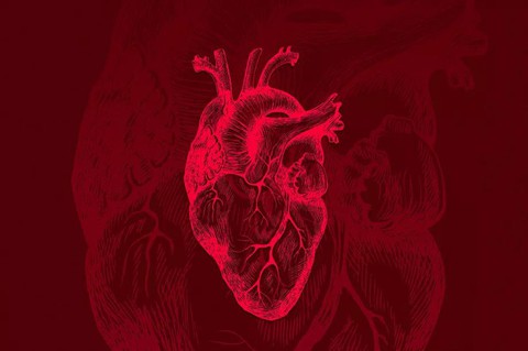 Phần mềm AI phát hiện tình trạng tim ngừng tuần hoàn sẽ ra mắt trong mùa hè này - Ảnh 1. Phần mềm AI phát hiện tình trạng tim ngừng tuần hoàn sẽ ra mắt trong mùa hè này - Ảnh 1.