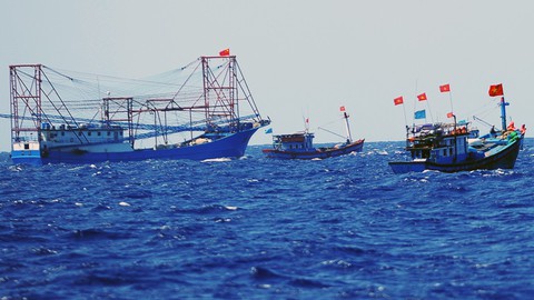 Những sói biển can trường - Ảnh 1. Những sói biển can trường - Ảnh 1.
