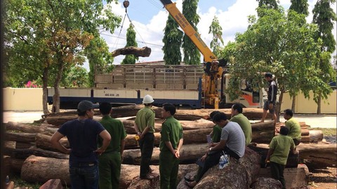 Tấn công sào huyệt lâm tặc Phượng râu tại vườn quốc gia Yok Đôn - Ảnh 6. Tấn công sào huyệt lâm tặc Phượng râu tại vườn quốc gia Yok Đôn - Ảnh 6.