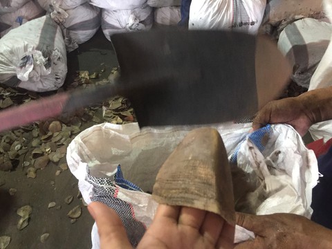 Gần 3,8 tấn vảy tê tê nhập lậu từ Congo vào Việt Nam - Ảnh 3. Gần 3,8 tấn vảy tê tê nhập lậu từ Congo vào Việt Nam - Ảnh 3.